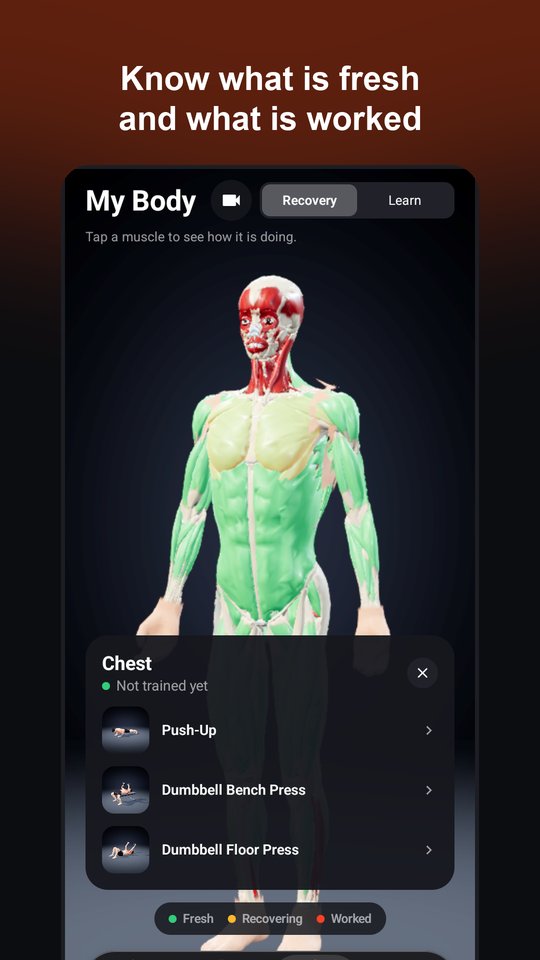 MuscleLit: 3D Workout Anatomy screenshot 3