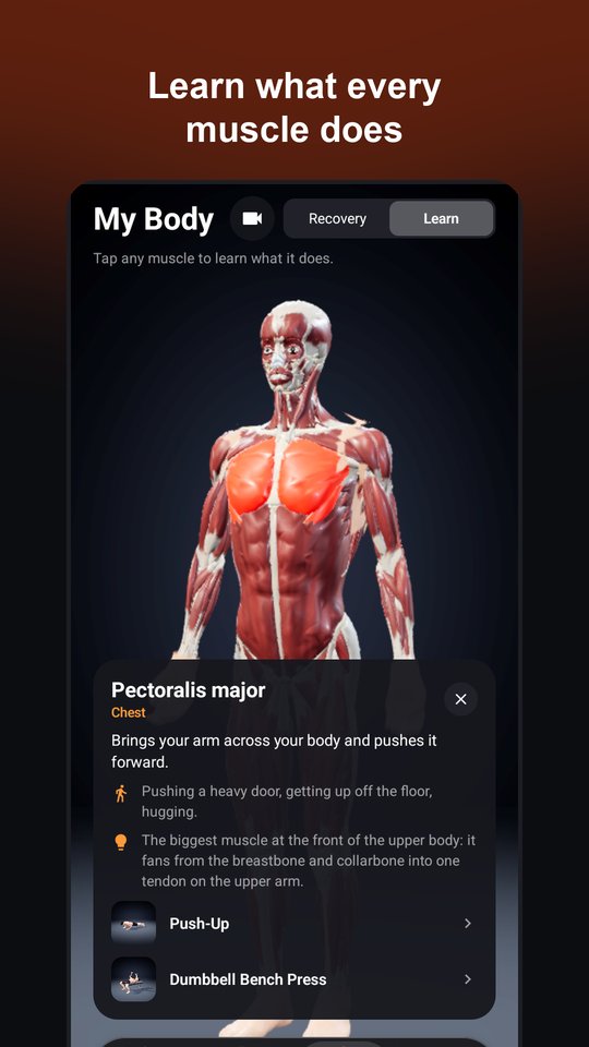 MuscleLit: 3D Workout Anatomy screenshot 4